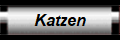 Katzen